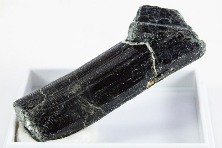 Black-Green Magnesio-Hastingsite Crystal - Norway #345863